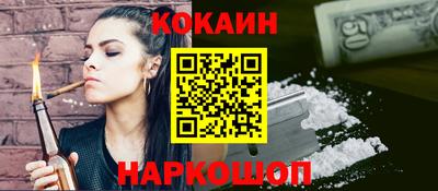 гашик Моздок