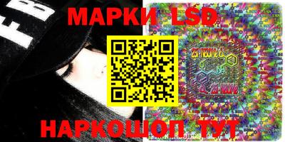 гашик Моздок