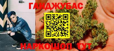 гашик Моздок