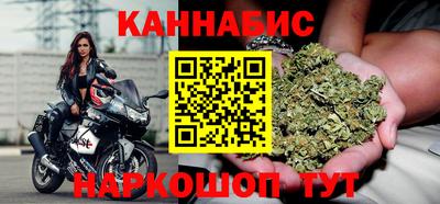 гашик Моздок