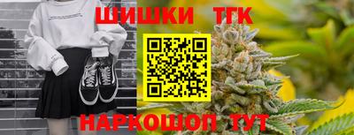 гашик Моздок