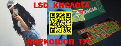 гашик Моздок