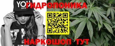 гашик Моздок