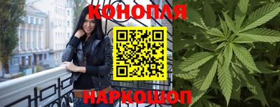 гашик Моздок