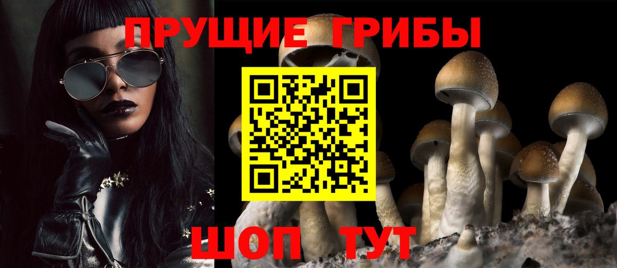 Галлюциногенные грибы MAGIC MUSHROOMS  наркошоп  Асбест  Вход с VPN 